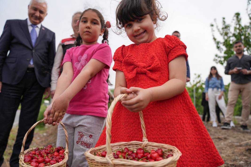 İzmir'de Hasat Serüveni Başladı! Bu Yaz Kiraza Doyacağız Çiftçide Yüzler Gülüyor 6